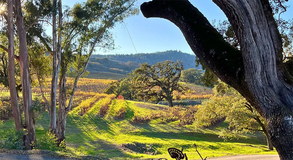 Wedding Couple strolling around street